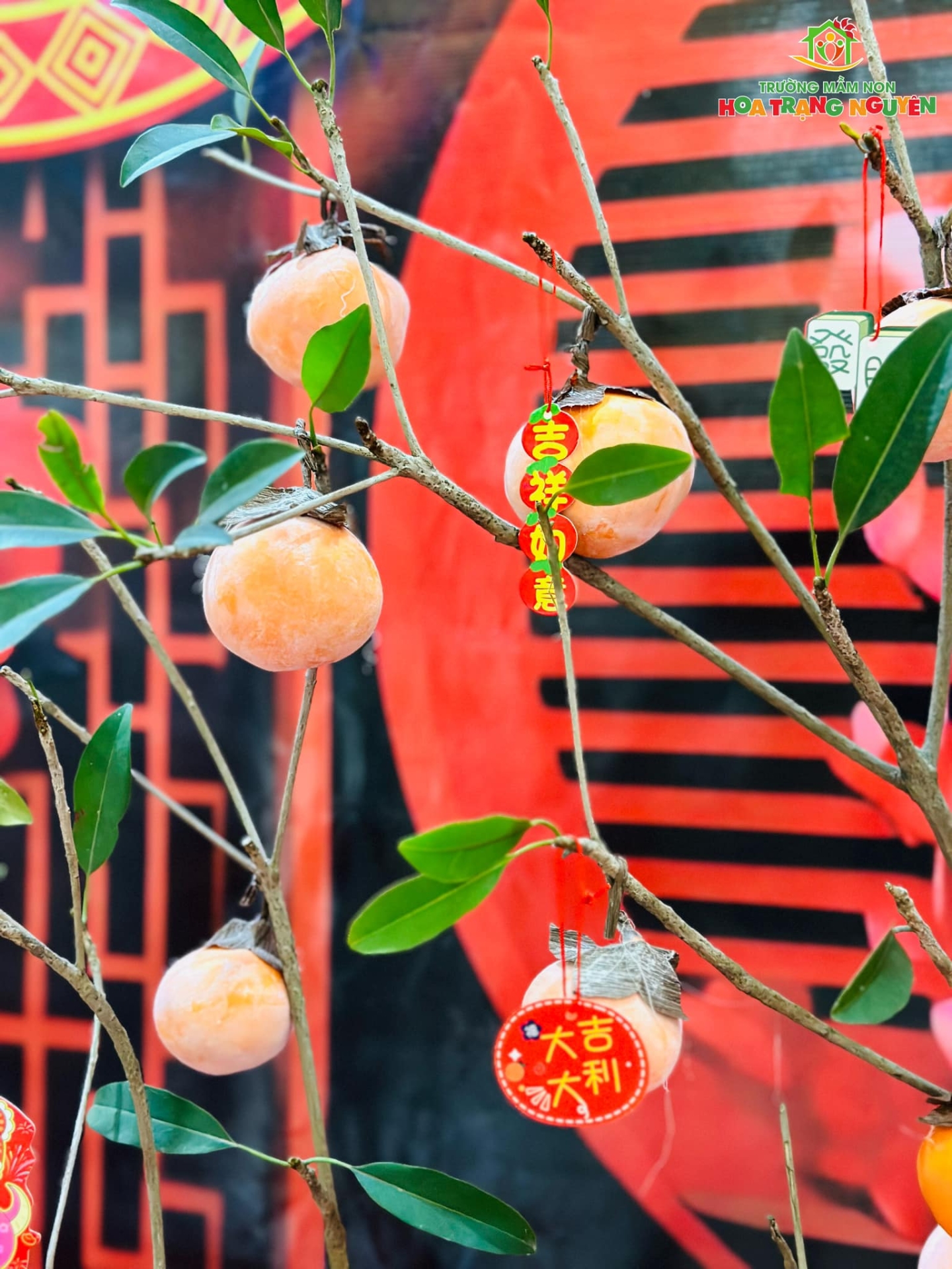 Mang xuân về cùng bộ sưu tập ảnh cực đáng yêu của các bé Hoa Trạng Nguyên