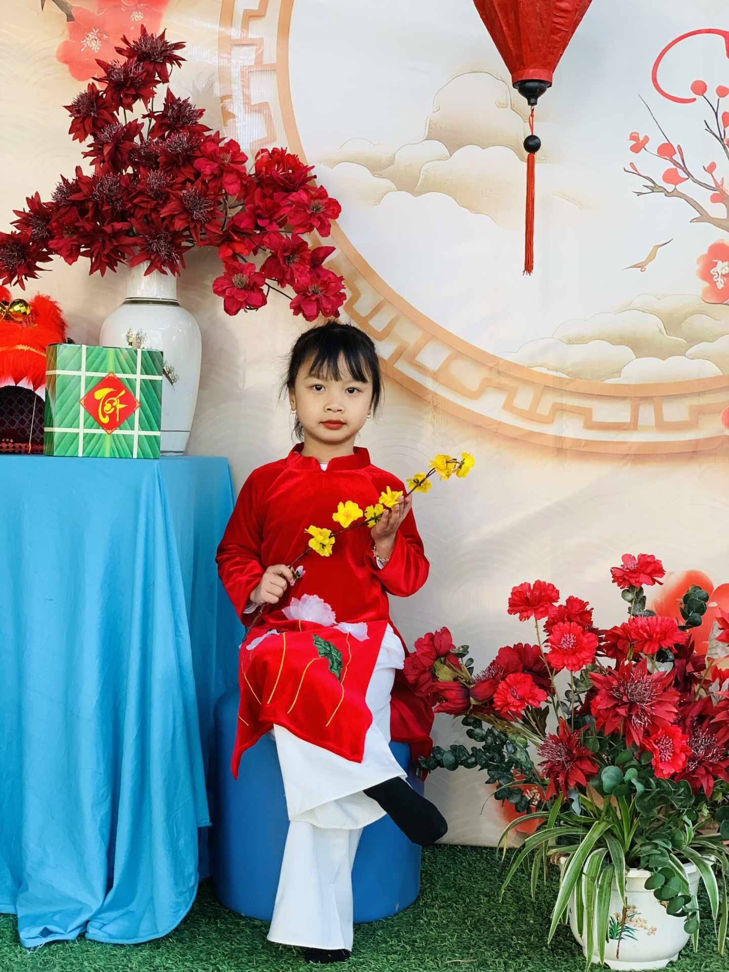 Mang xuân về cùng bộ sưu tập ảnh cực đáng yêu của các bé Hoa Trạng Nguyên