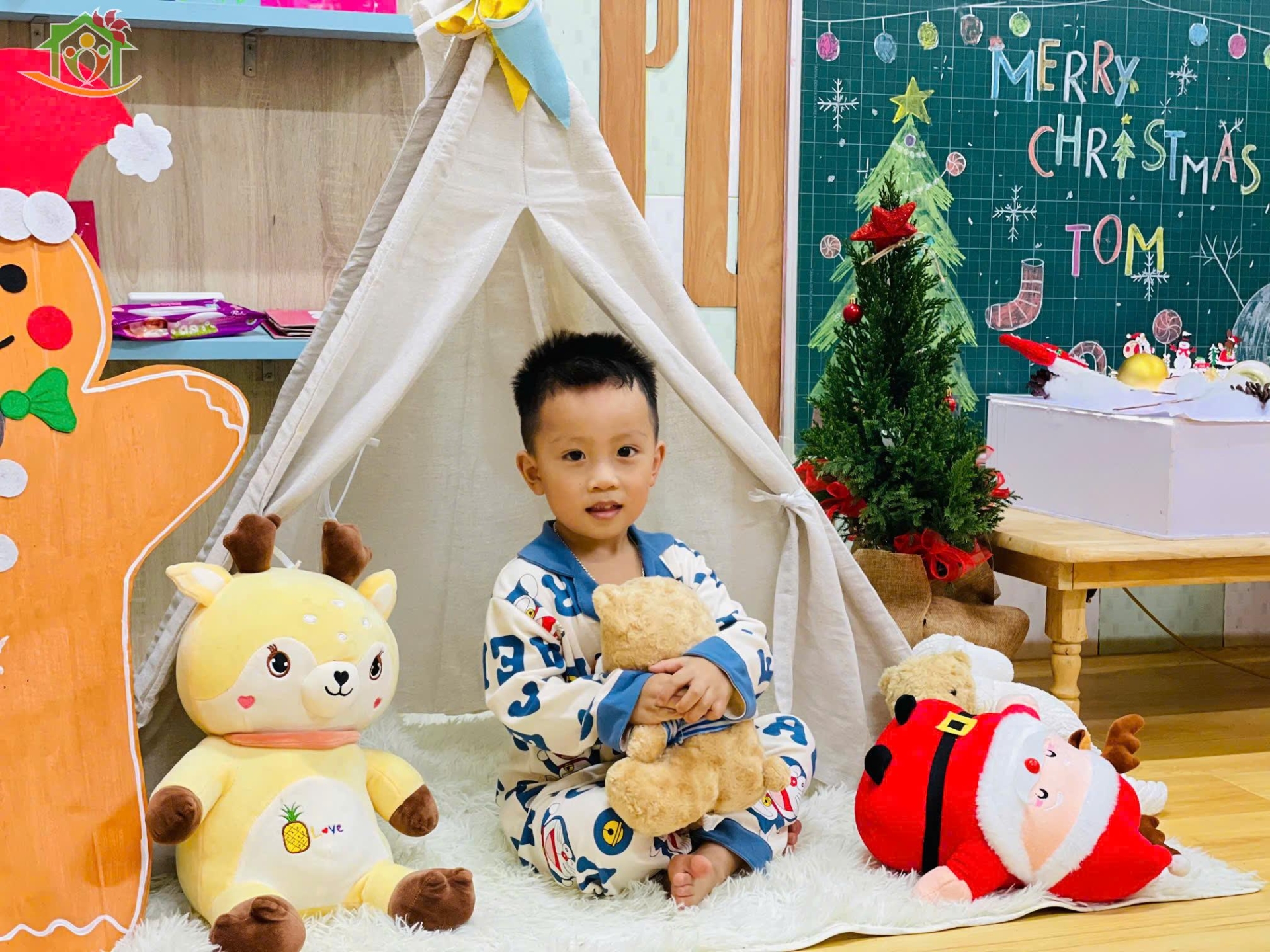 Rộn ràng chào đón Giáng sinh 2025 tại Hoa Trạng Nguyên