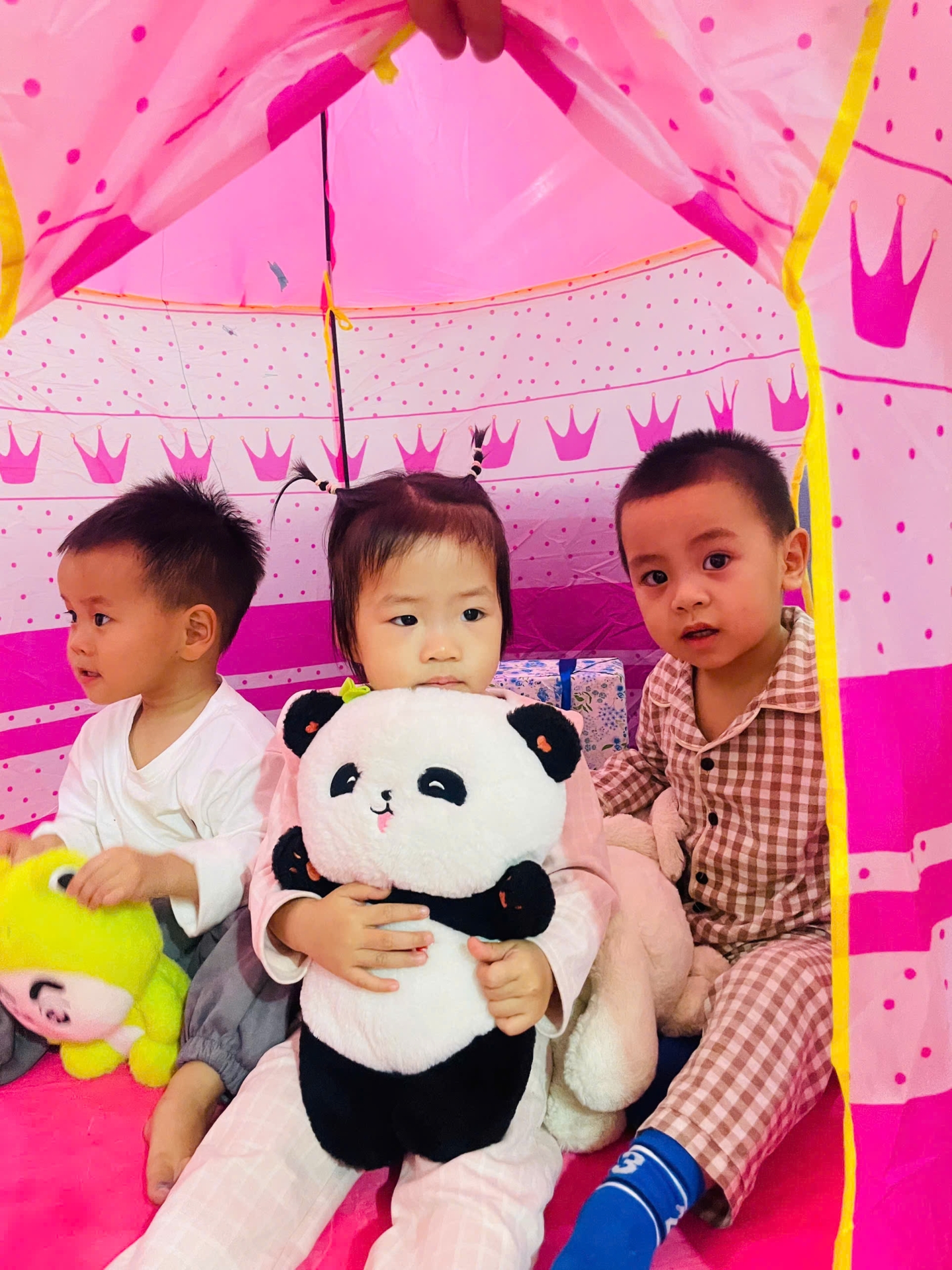 Rộn ràng chào đón Giáng sinh 2025 tại Hoa Trạng Nguyên