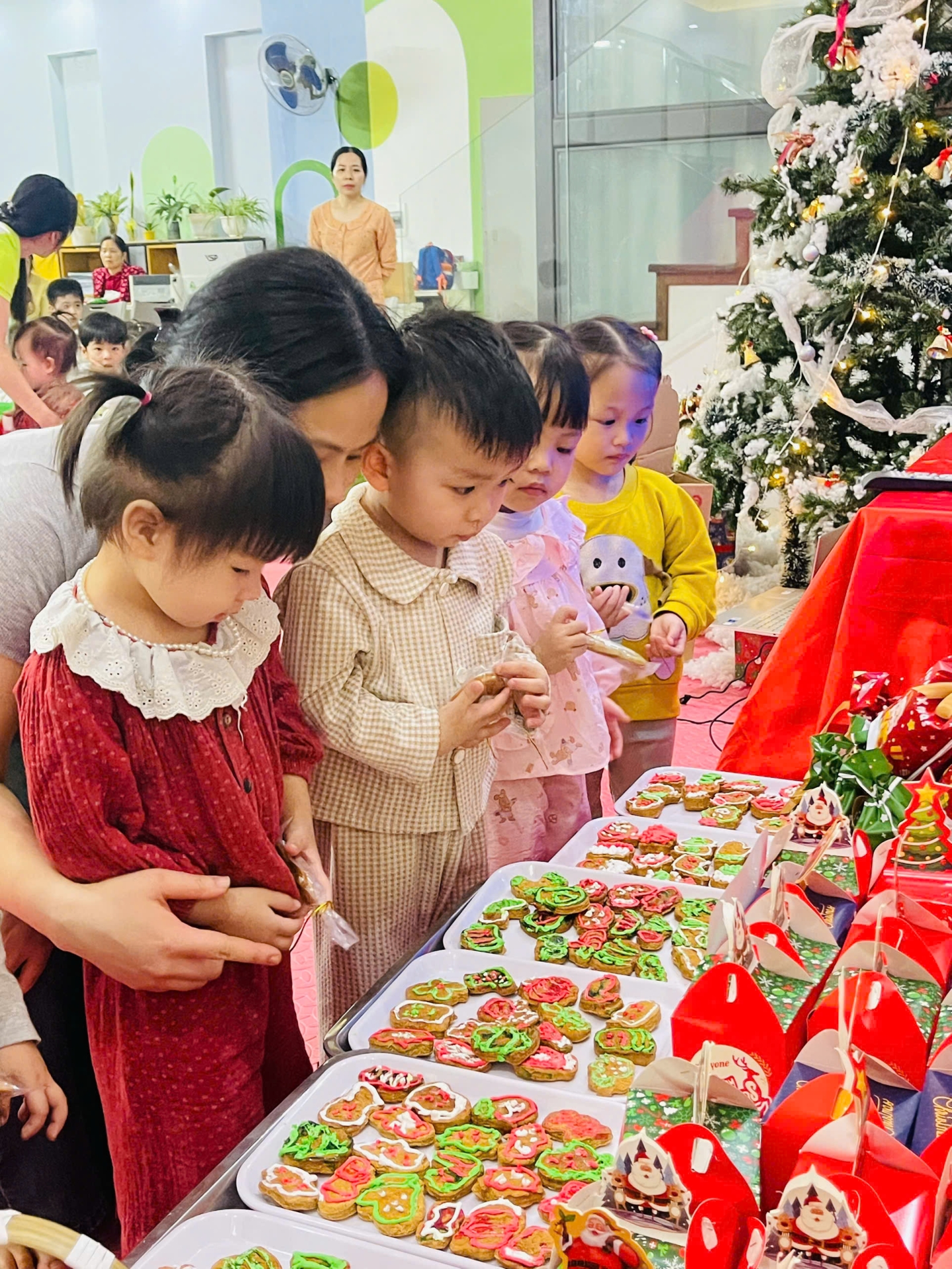 Rộn ràng chào đón Giáng sinh 2025 tại Hoa Trạng Nguyên